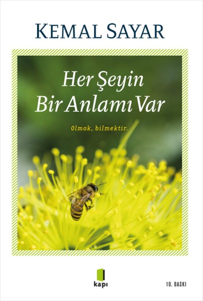 Her Şeyin Bir Anlamı Var - Kemal Sayar