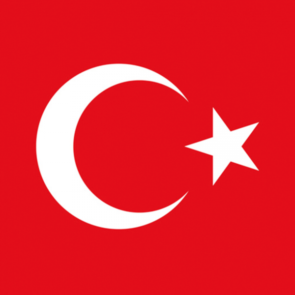 Türk Bayrağı - 30cm x 45cm