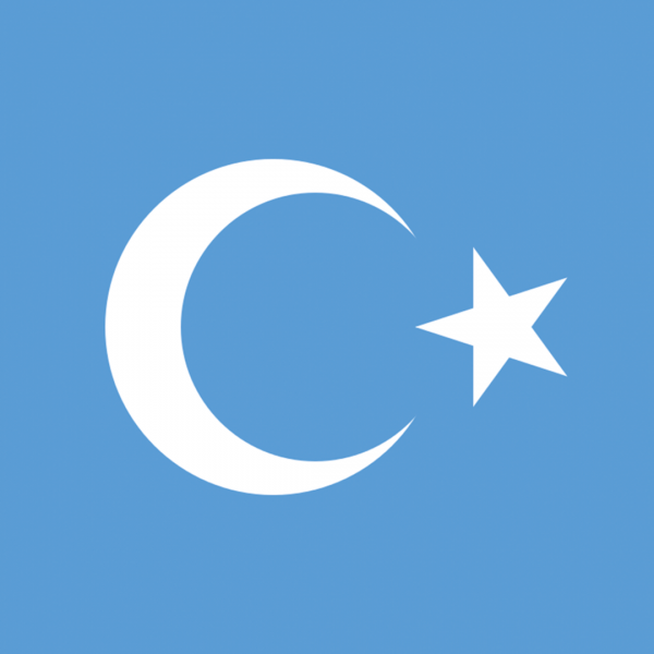 Doğu Türkistan Bayrağı - 75cm x 105cm